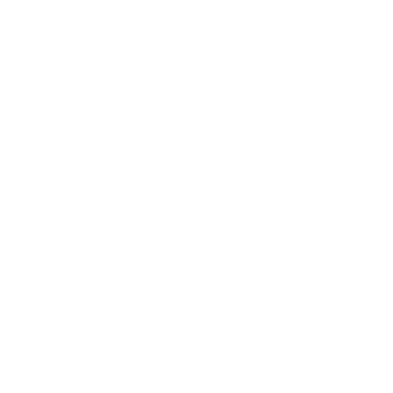 Douglas Parking logo